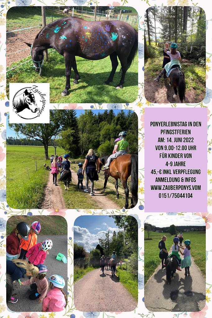 Collagebild 1