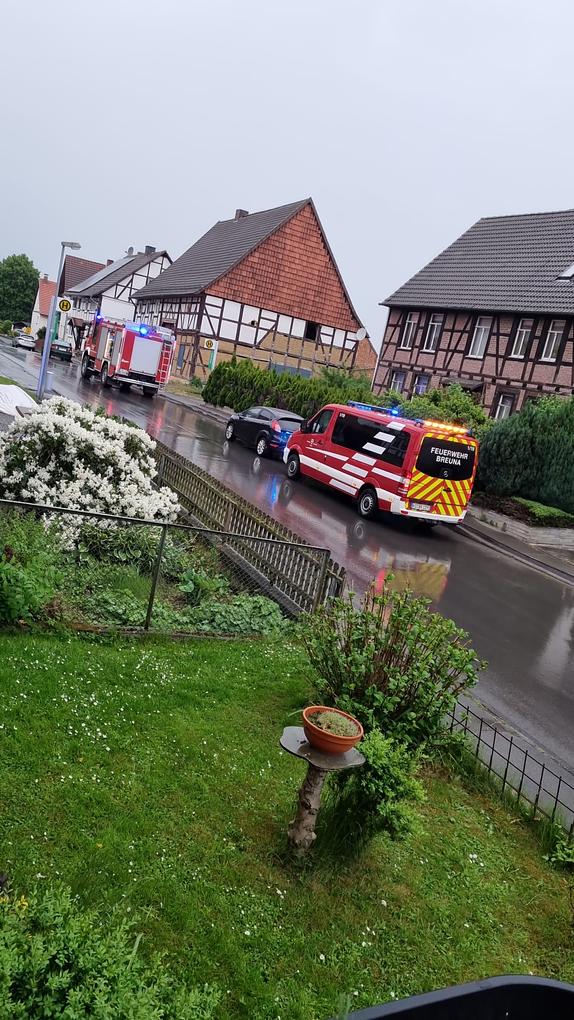 Bild im Zusammenhang mit dem Beitrag