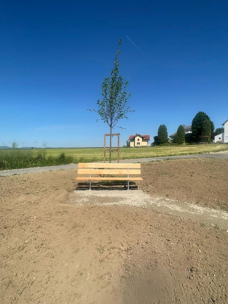 Bild im Zusammenhang mit dem Beitrag