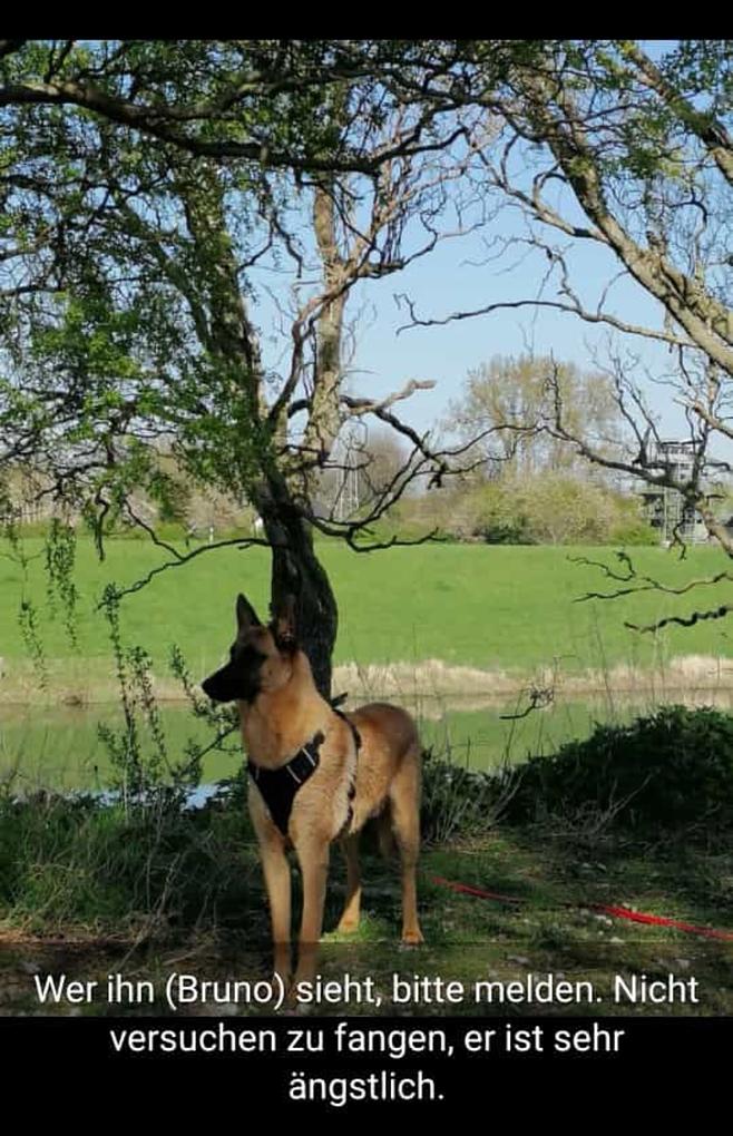 Bild im Zusammenhang mit dem Beitrag
