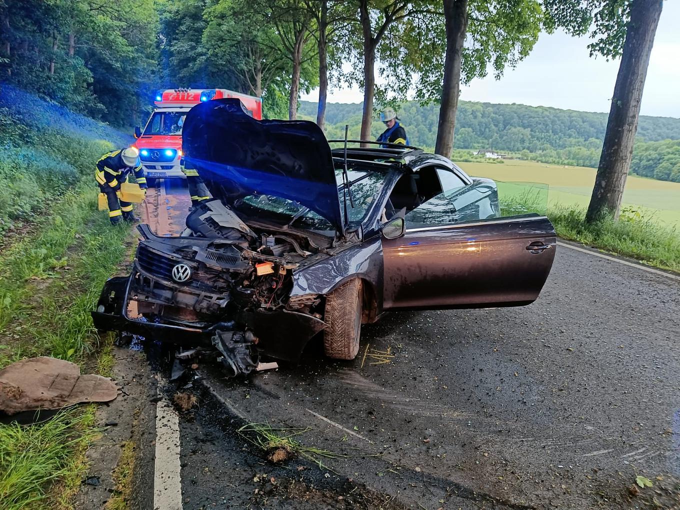 Bild im Zusammenhang mit dem Beitrag