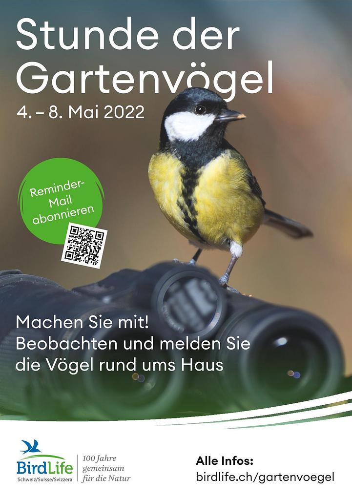 Bild im Zusammenhang mit dem Beitrag