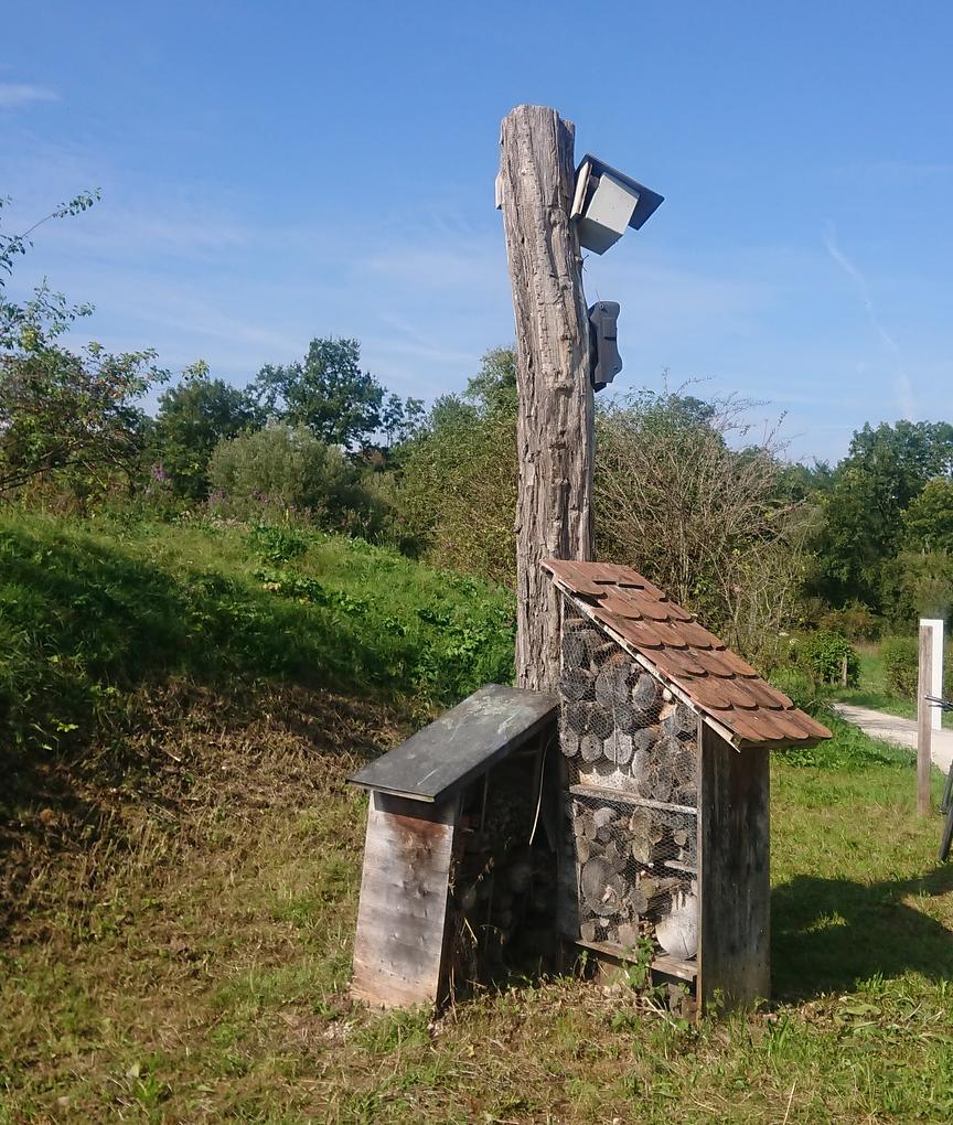 Bild im Zusammenhang mit dem Beitrag