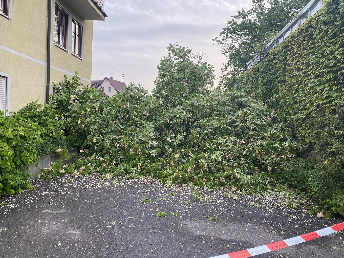Bild im Zusammenhang mit dem Beitrag