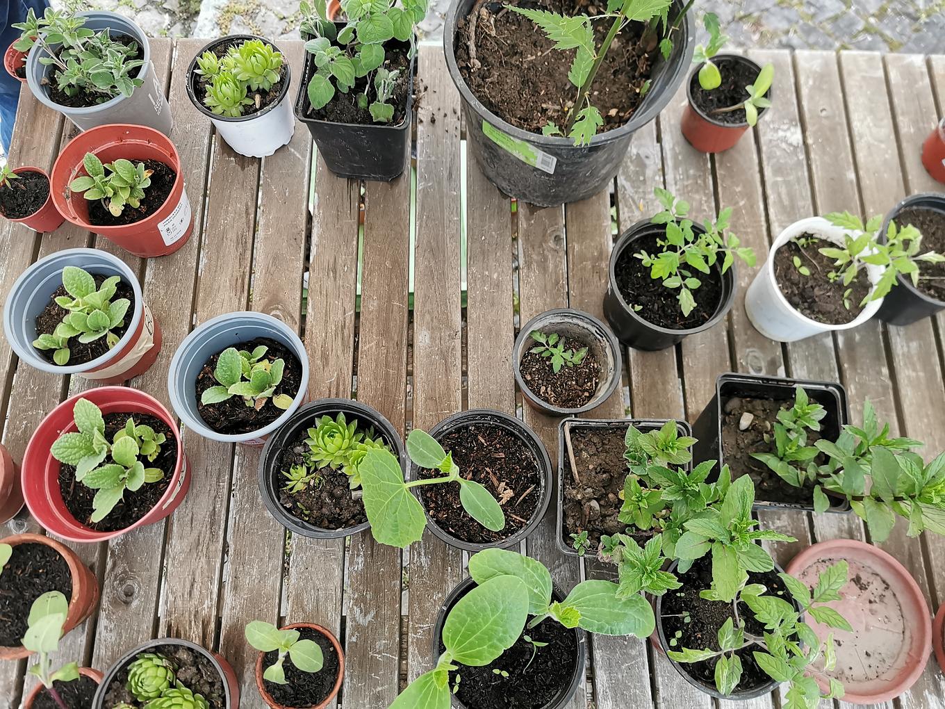 Bild im Zusammenhang mit dem Beitrag
