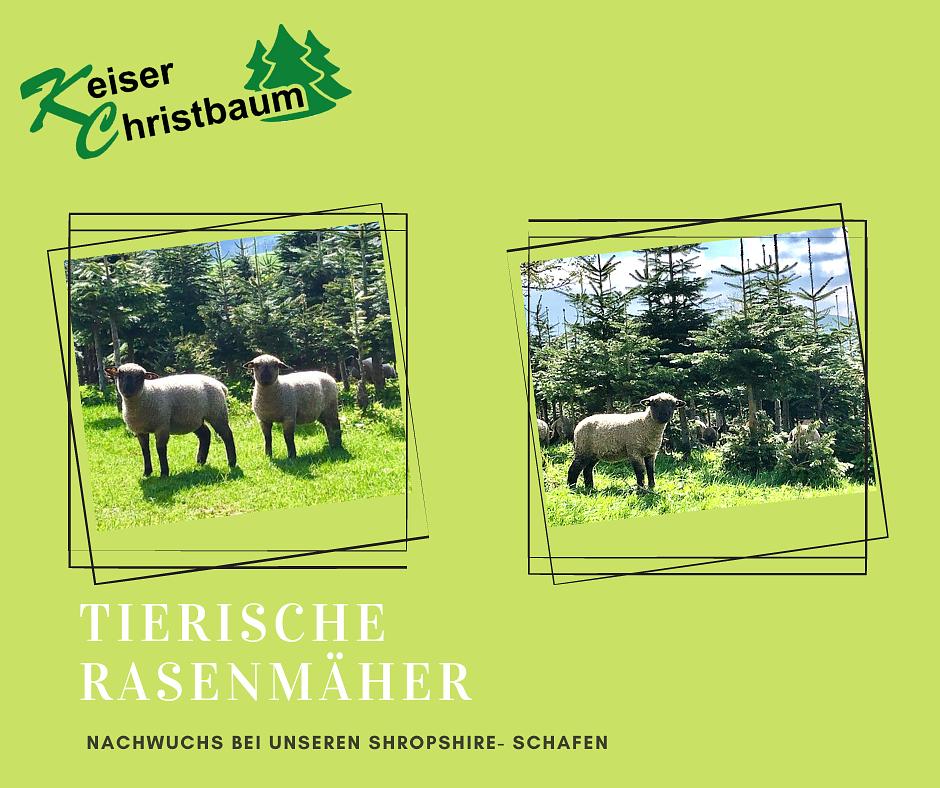 Bild im Zusammenhang mit dem Beitrag
