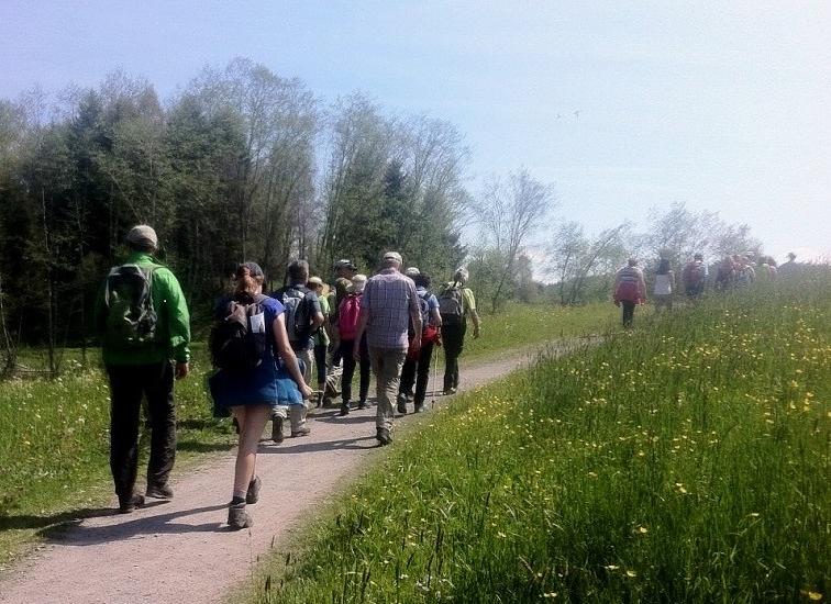 Bild im Zusammenhang mit dem Beitrag