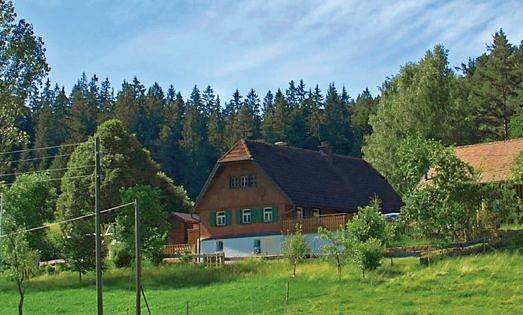 Bild im Zusammenhang mit dem Beitrag