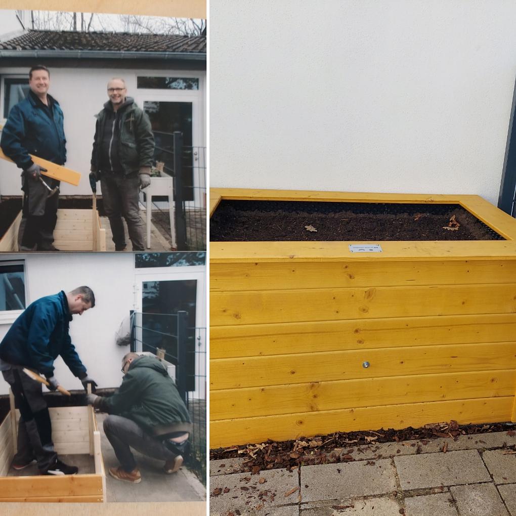Collagebild 1