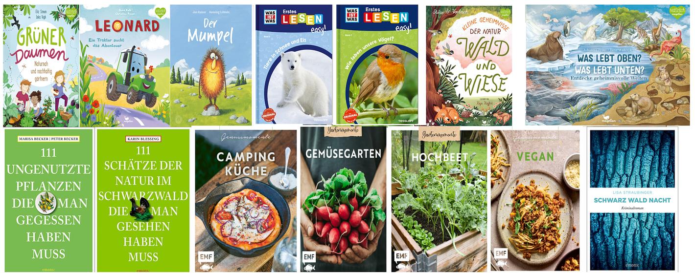 Image en lien avec la publication