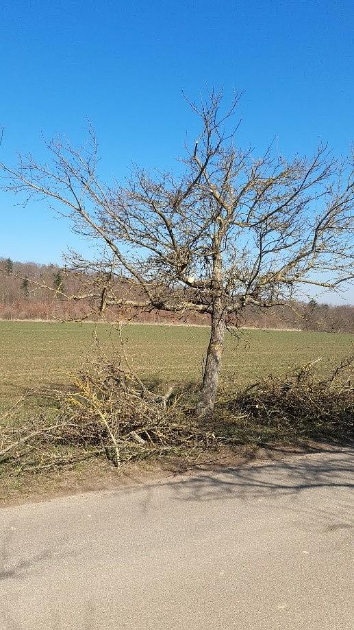 Bild im Zusammenhang mit dem Beitrag