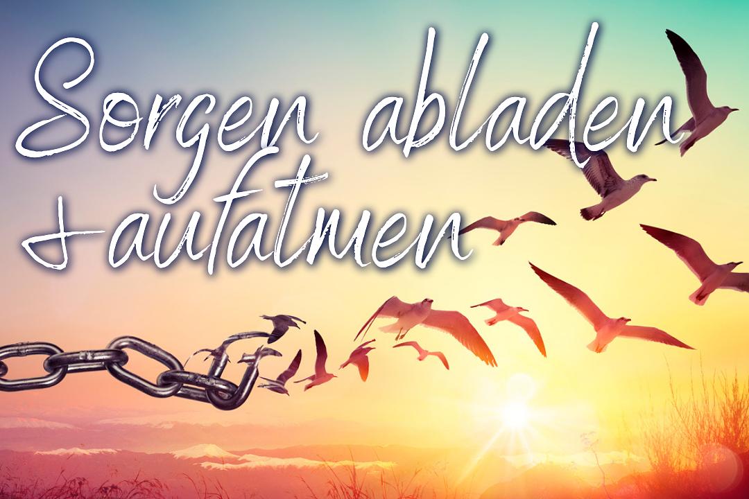Bild im Zusammenhang mit dem Beitrag