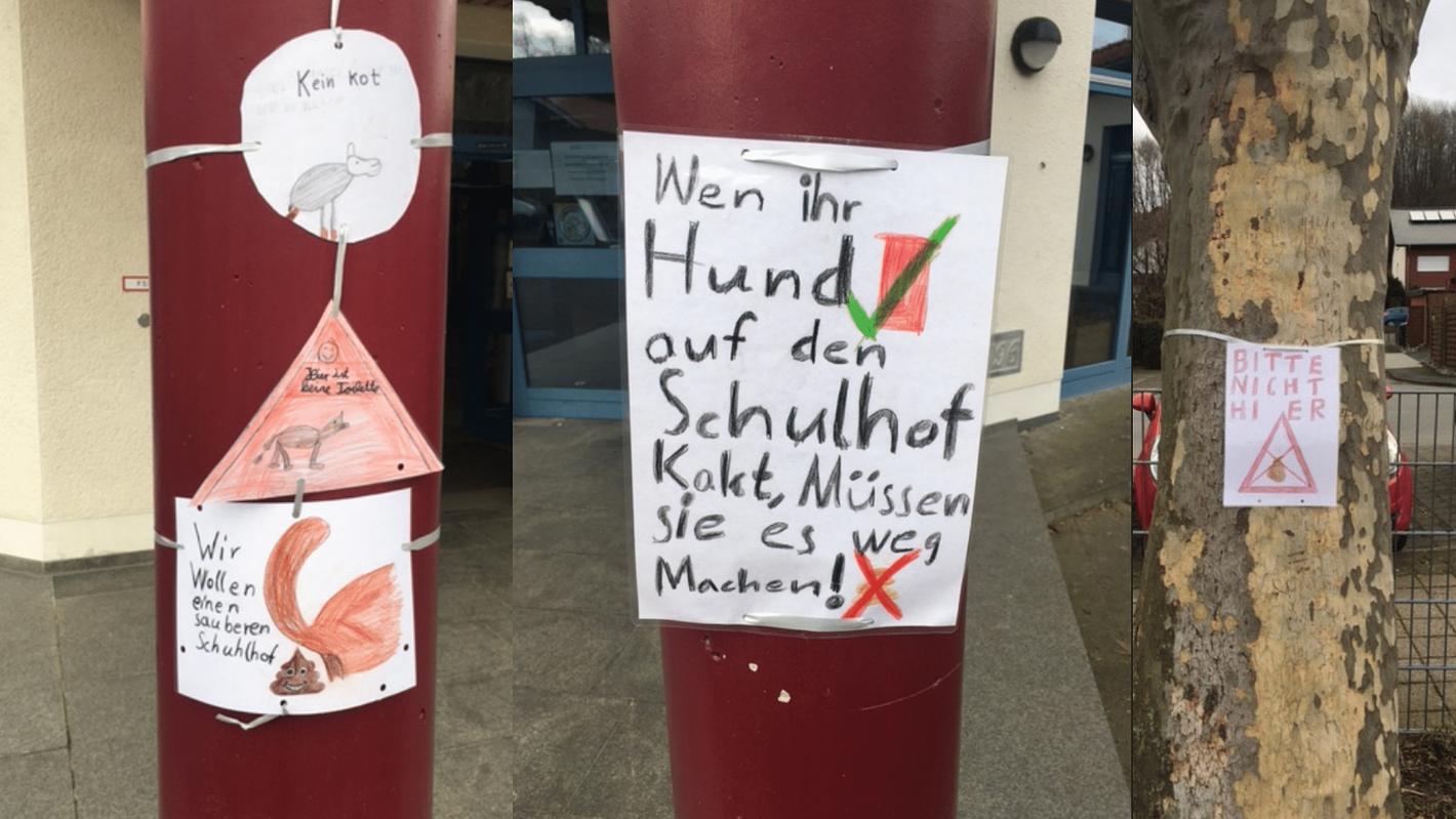 Bild im Zusammenhang mit dem Beitrag