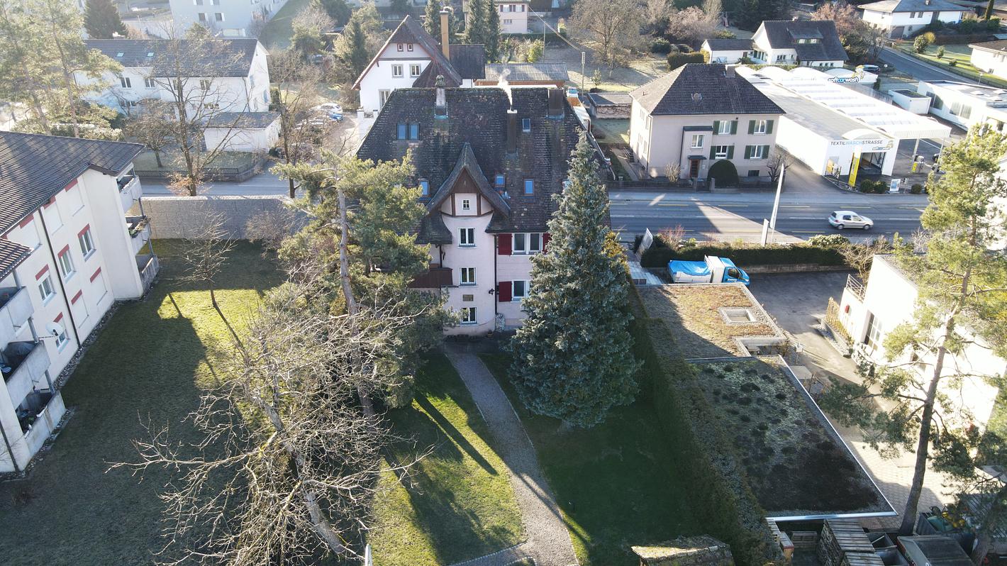 Bild im Zusammenhang mit dem Beitrag
