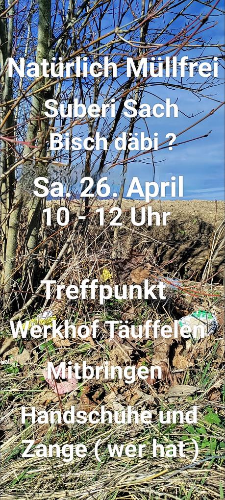 Bild im Zusammenhang mit dem Beitrag
