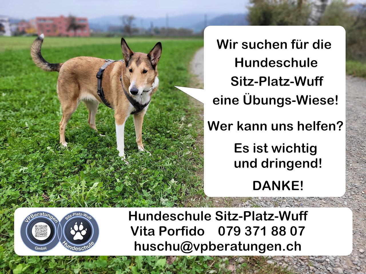 Bild im Zusammenhang mit dem Beitrag