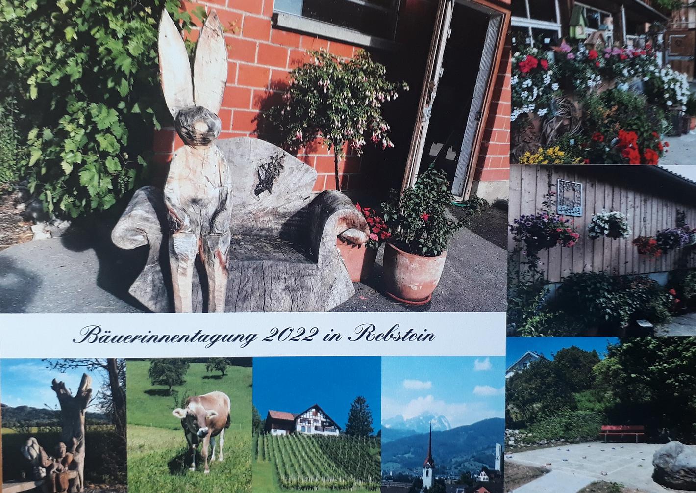 Collage image 1