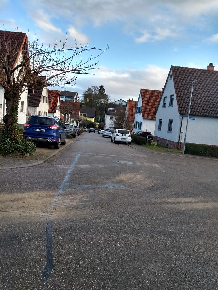 Bild im Zusammenhang mit dem Beitrag