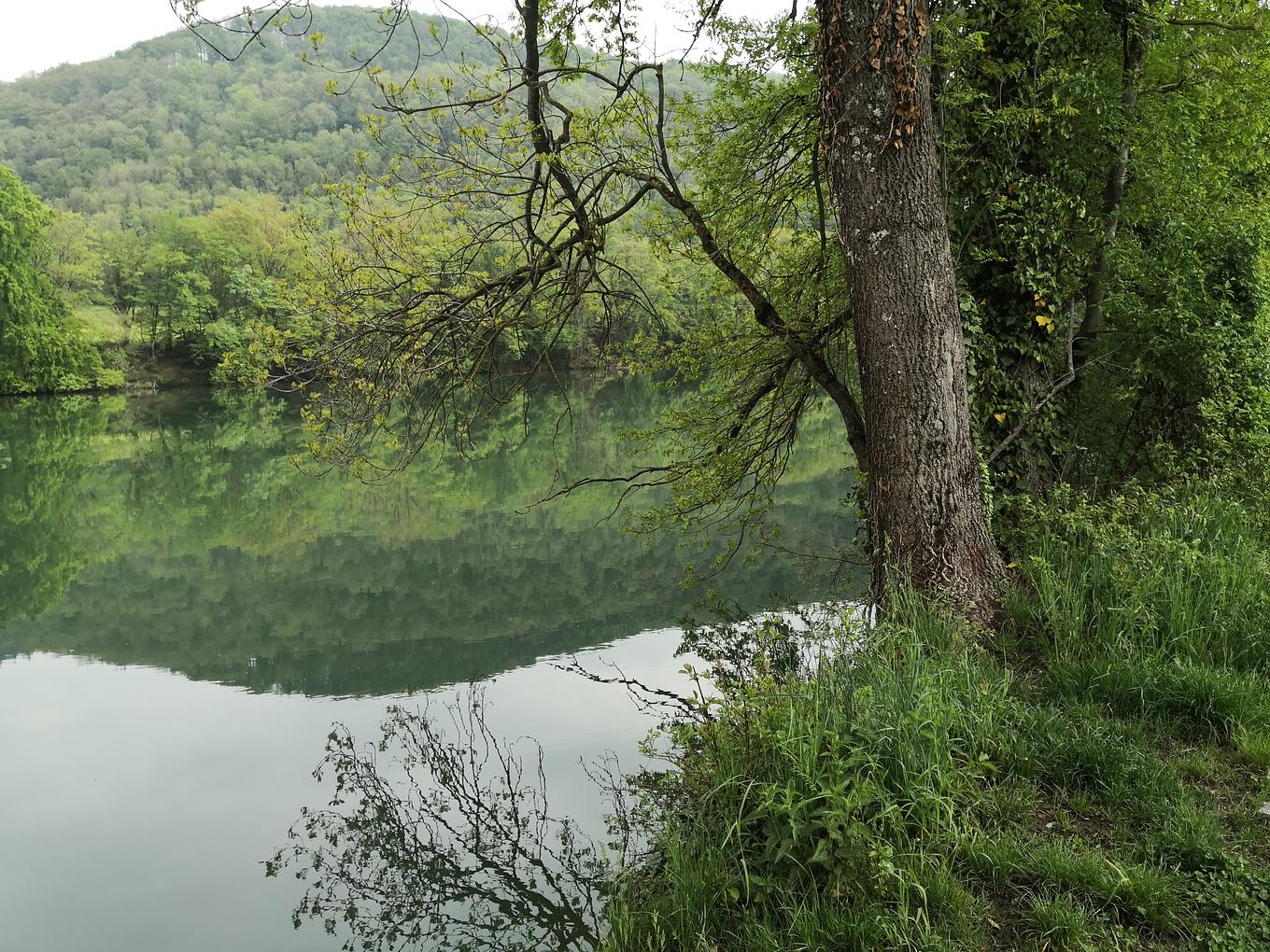 Image related to the post