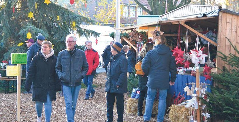 Bild im Zusammenhang mit dem Beitrag