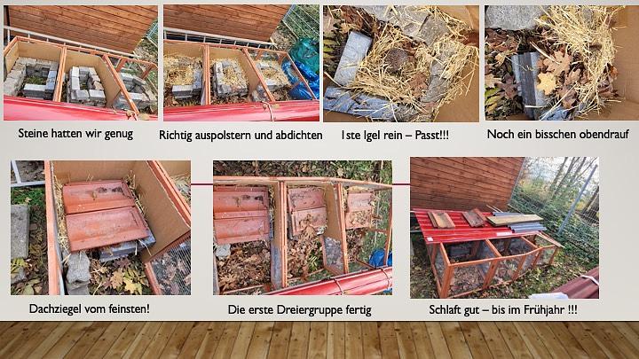 Collagebild 1