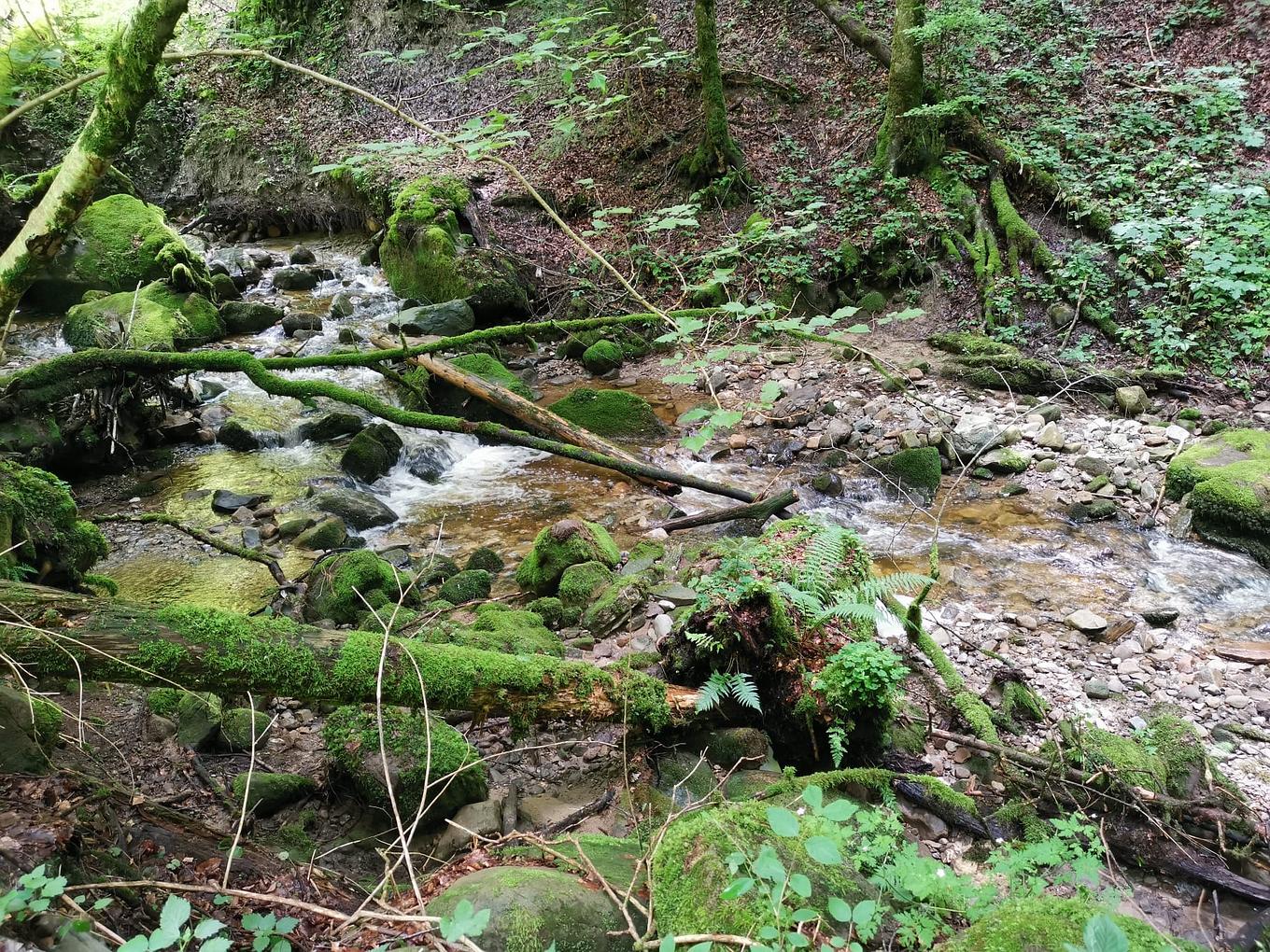 Bild im Zusammenhang mit dem Beitrag