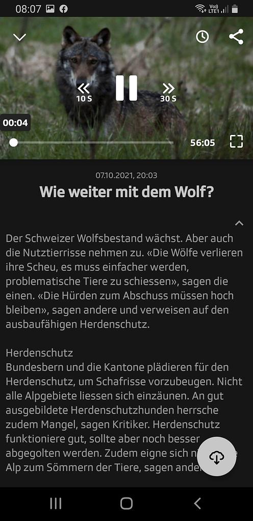 Bild im Zusammenhang mit dem Beitrag