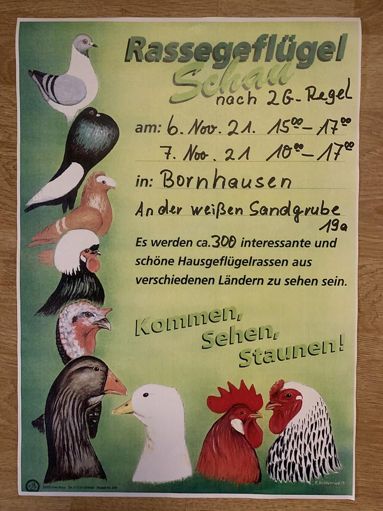 Collagebild 1