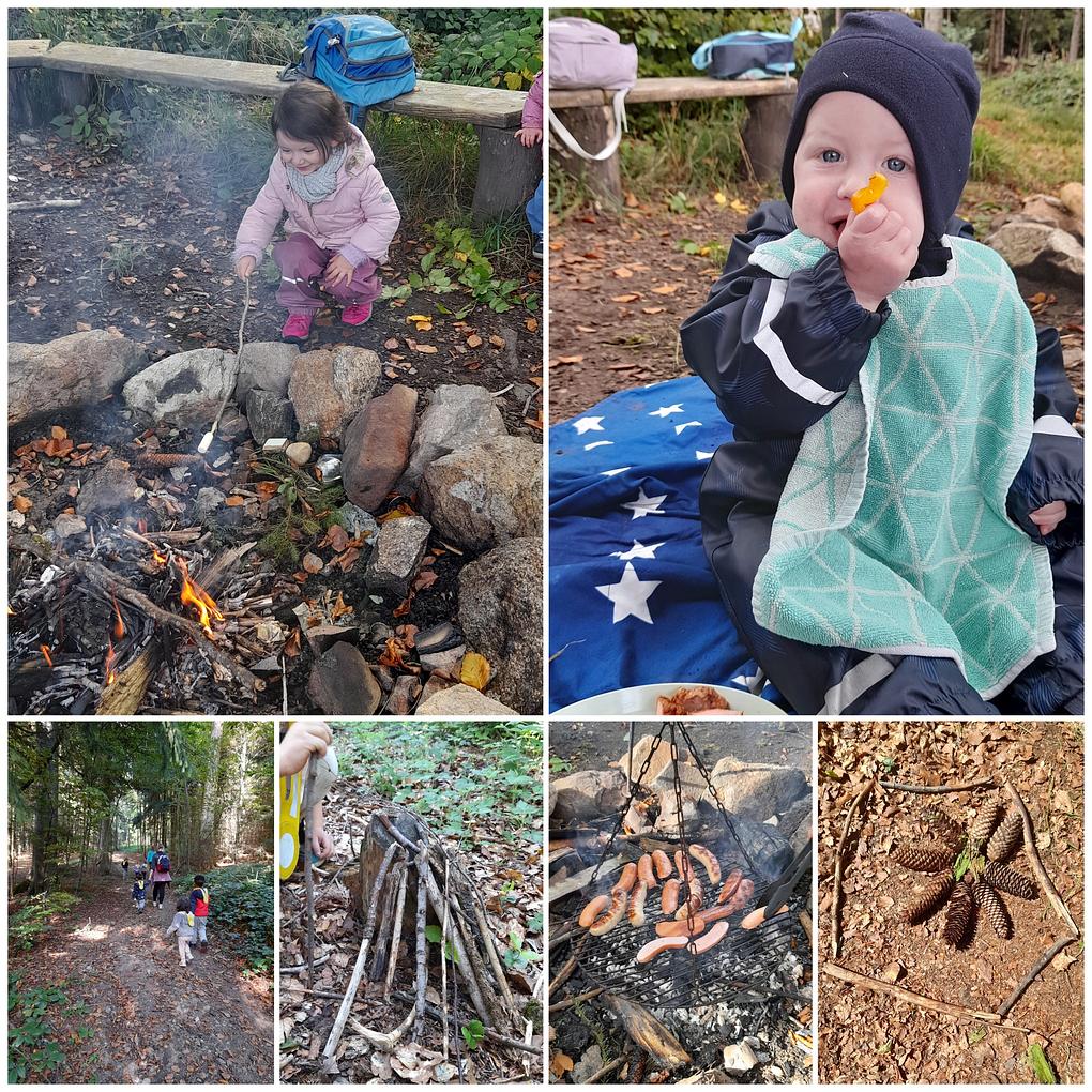 Collage image 1
