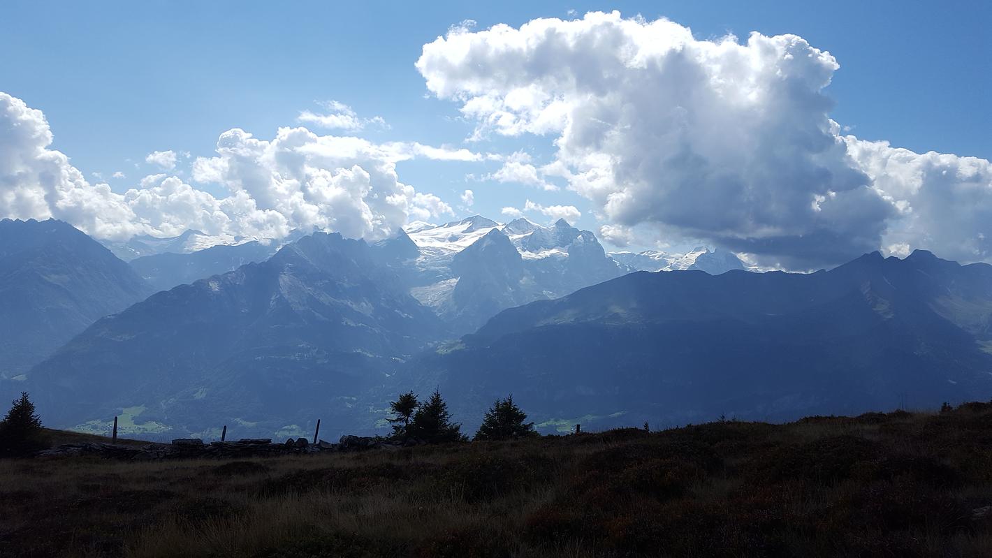 Bild im Zusammenhang mit dem Beitrag