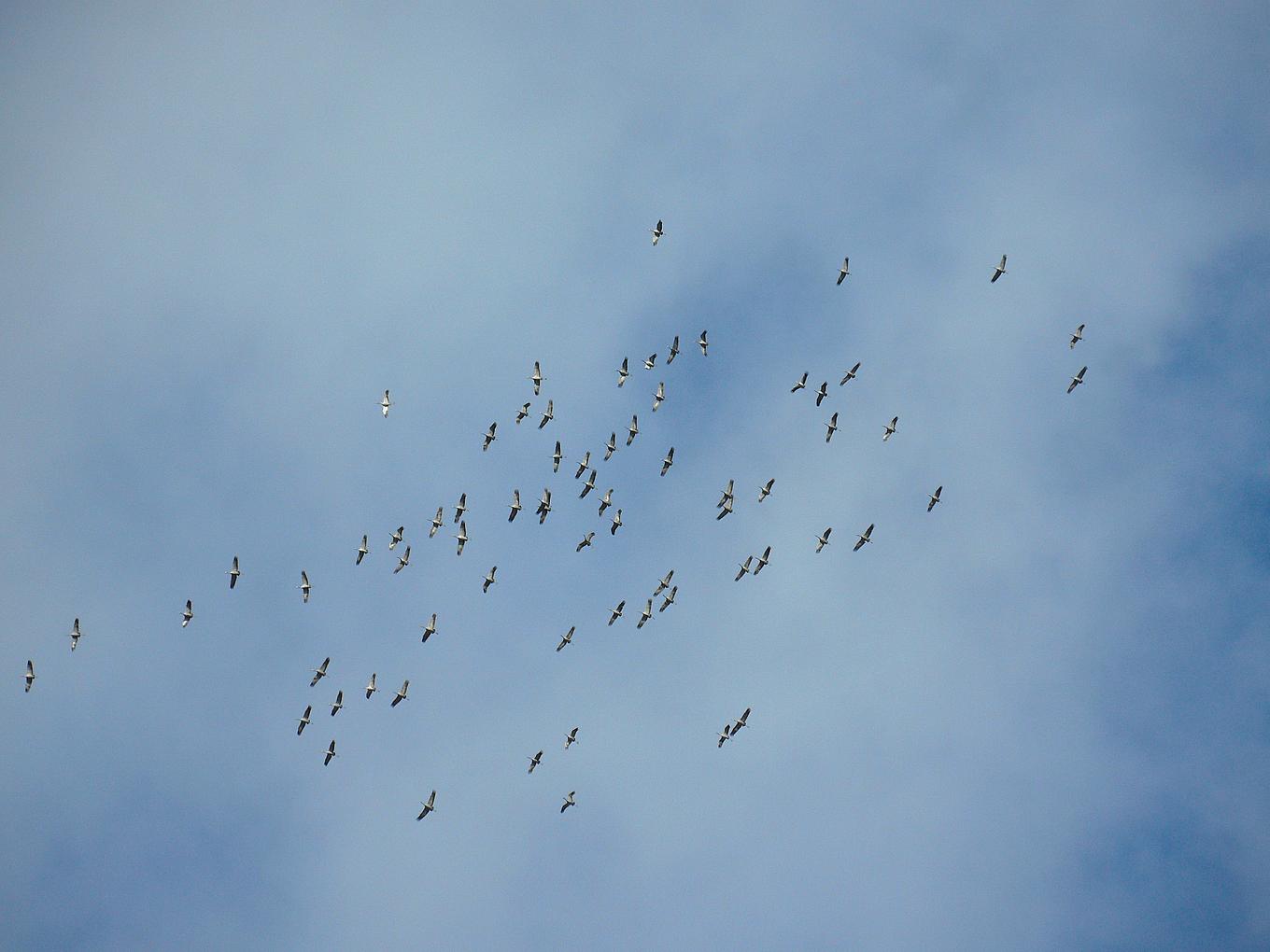 Image related to the post