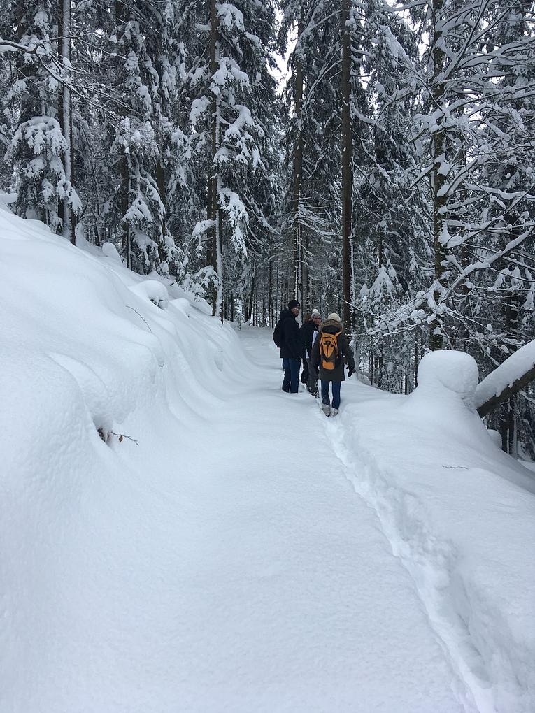 Bild im Zusammenhang mit dem Beitrag
