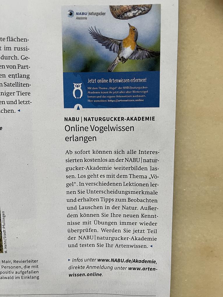Bild im Zusammenhang mit dem Beitrag