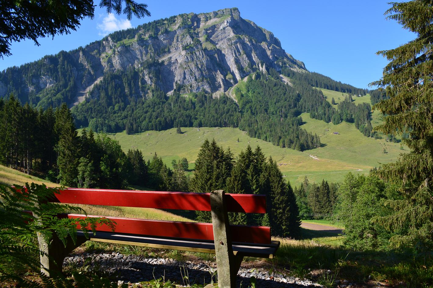 Bild im Zusammenhang mit dem Beitrag