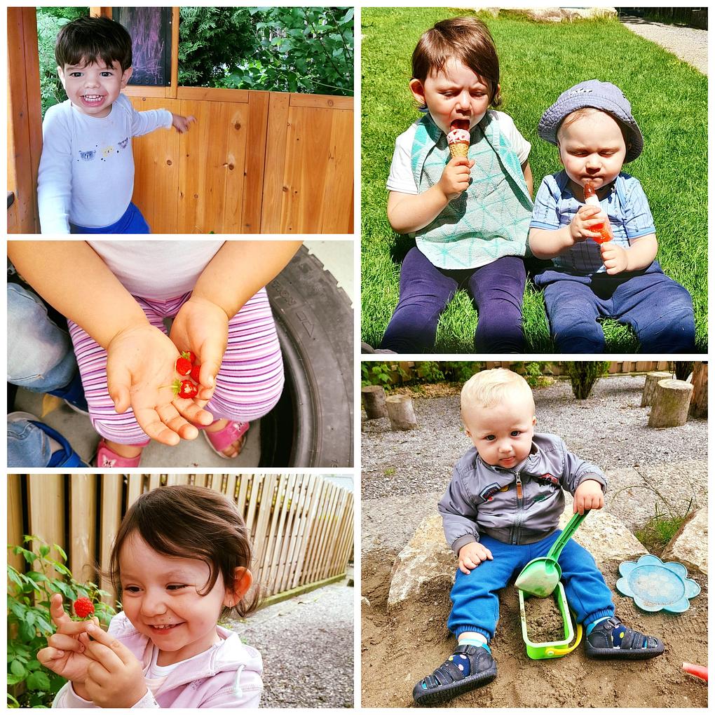 Collage image 1