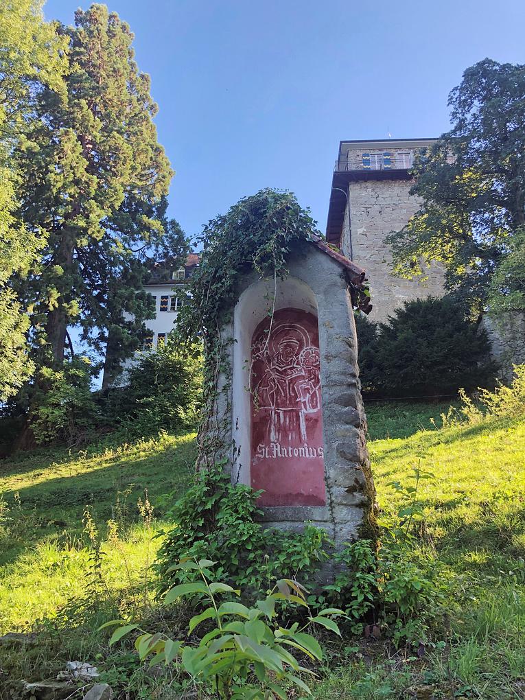 Bild im Zusammenhang mit dem Beitrag