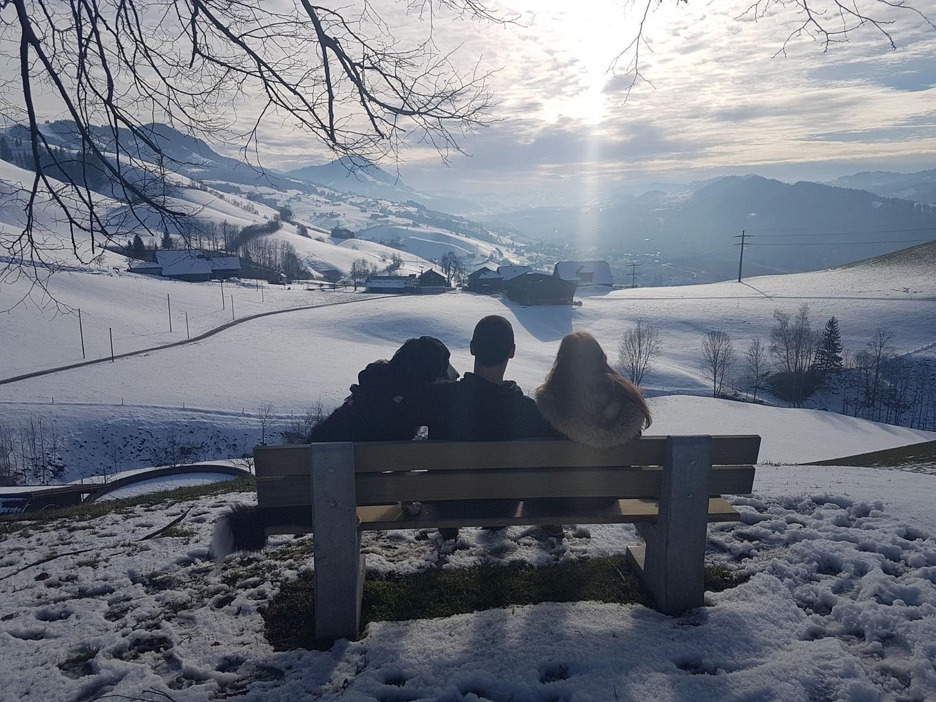 Bild im Zusammenhang mit dem Beitrag