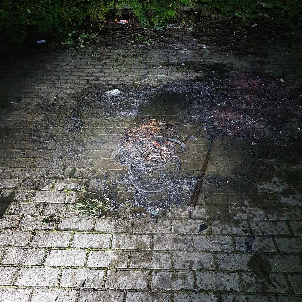 Bild im Zusammenhang mit dem Beitrag
