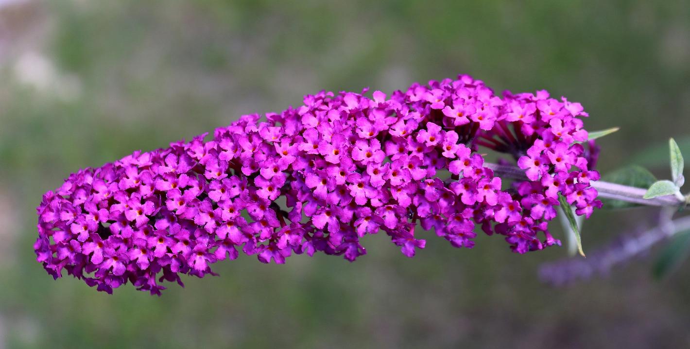 Image related to the post