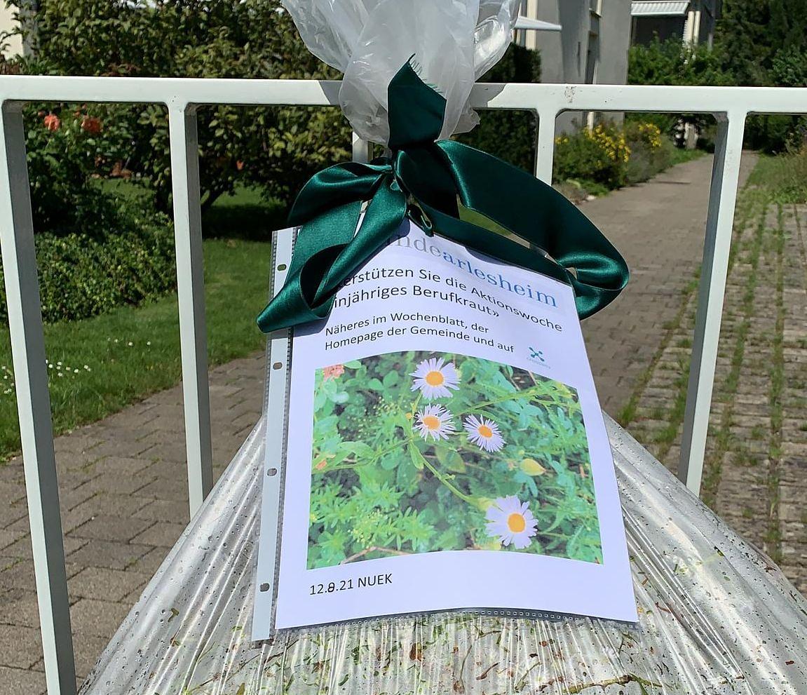 Bild im Zusammenhang mit dem Beitrag