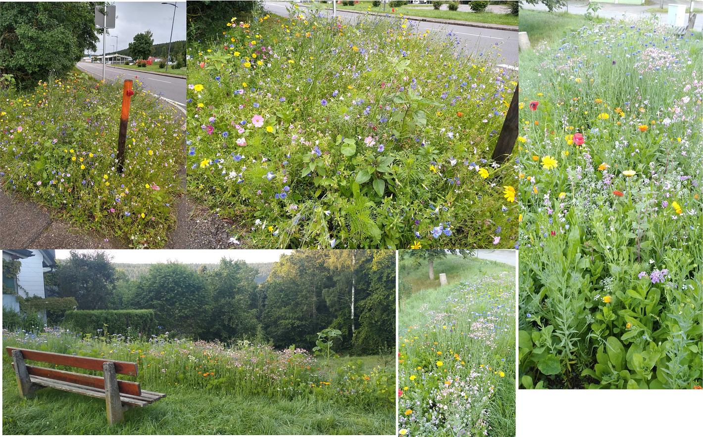 Collagebild 1