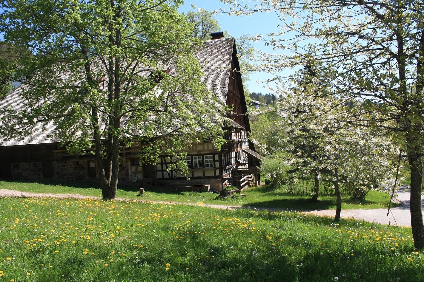 Bild im Zusammenhang mit dem Beitrag