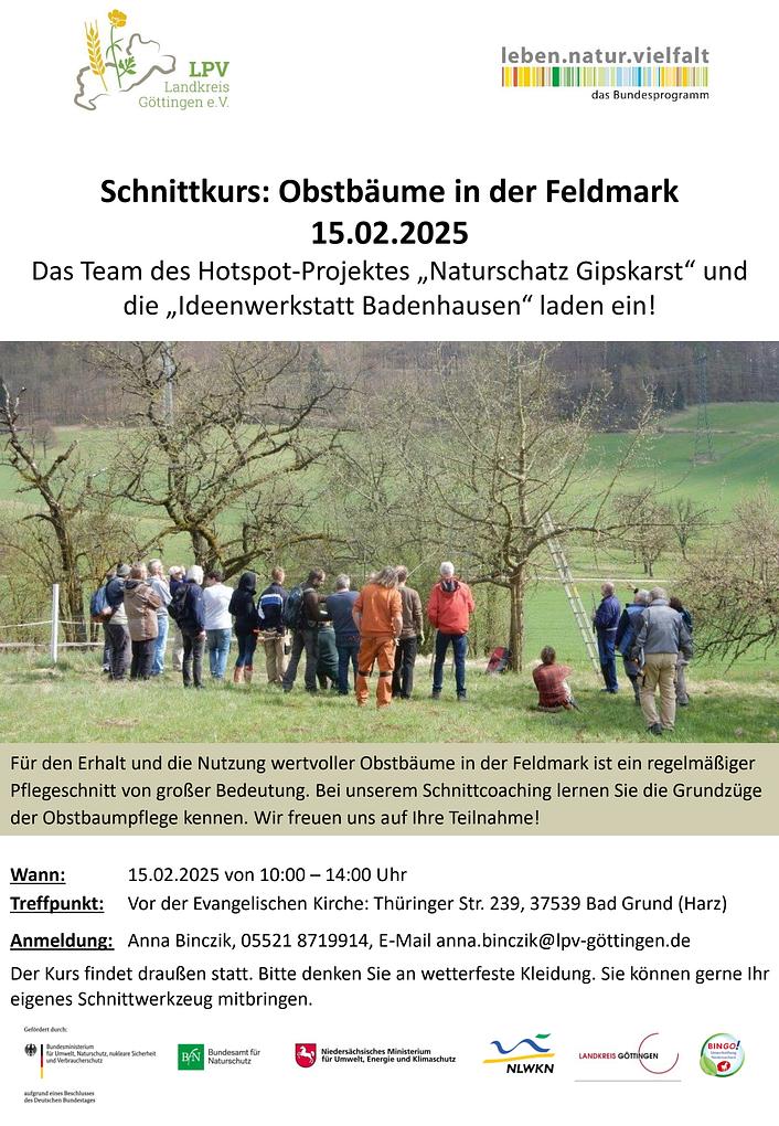 Bild im Zusammenhang mit dem Beitrag