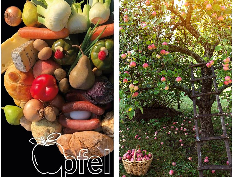 Collagebild 1