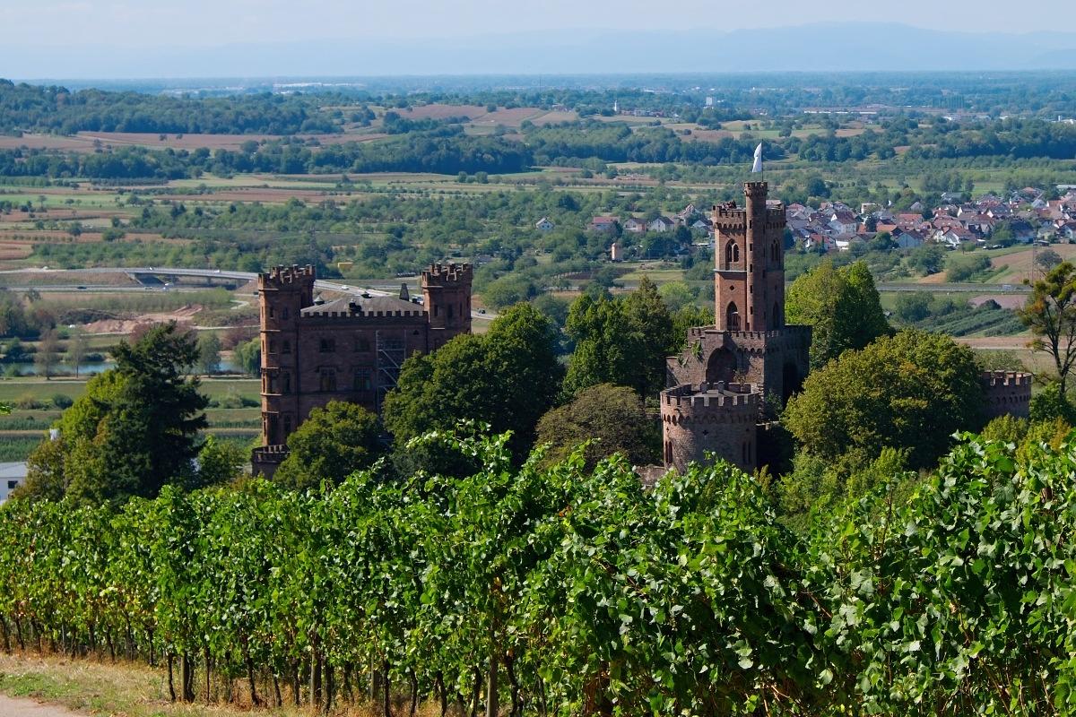 Bild im Zusammenhang mit dem Beitrag