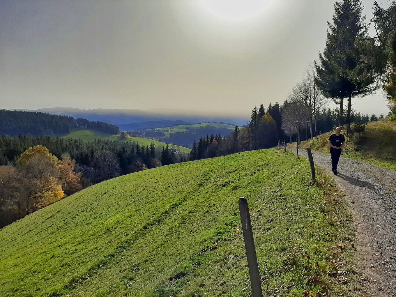 Bild im Zusammenhang mit dem Beitrag