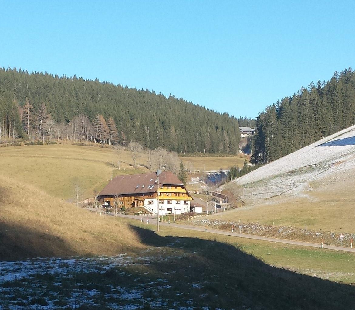 Bild im Zusammenhang mit dem Beitrag