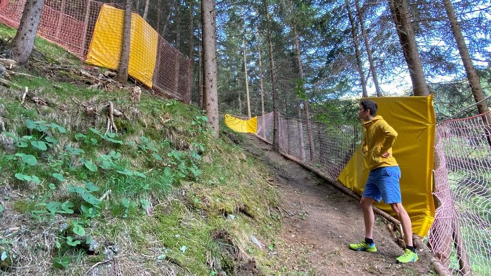 Bild im Zusammenhang mit dem Beitrag