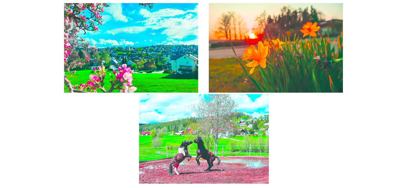 Collagebild 1