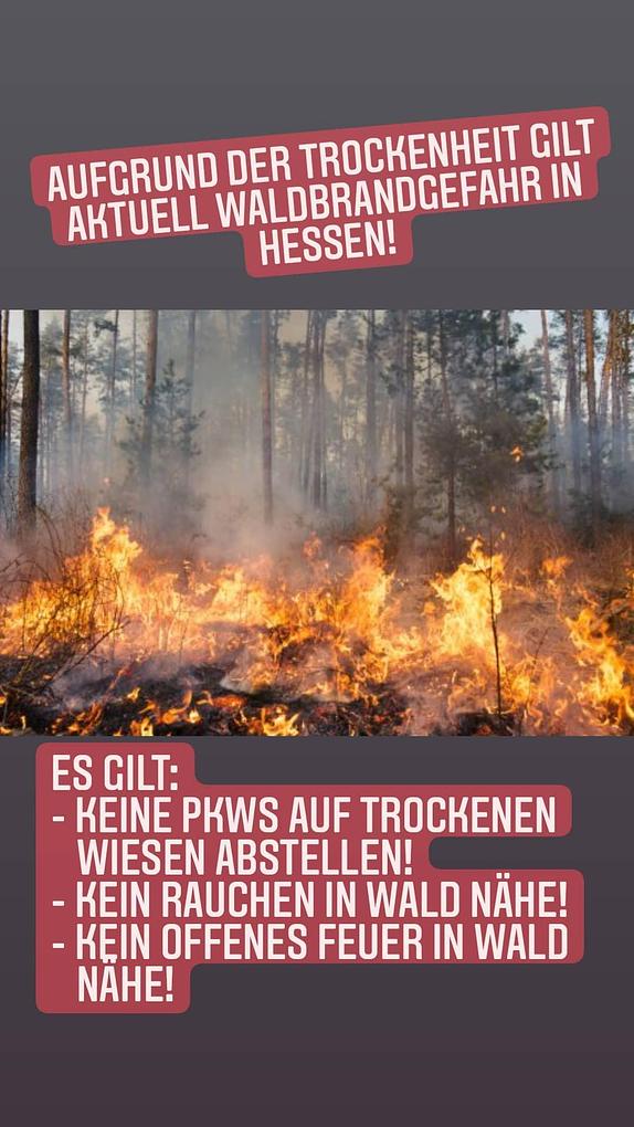 Bild im Zusammenhang mit dem Beitrag